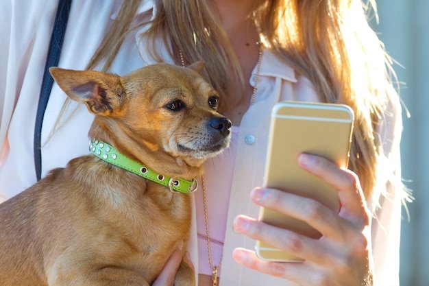 Imagem destacada para Aplicativos de Saúde para Pets: Uma Nova Tendência